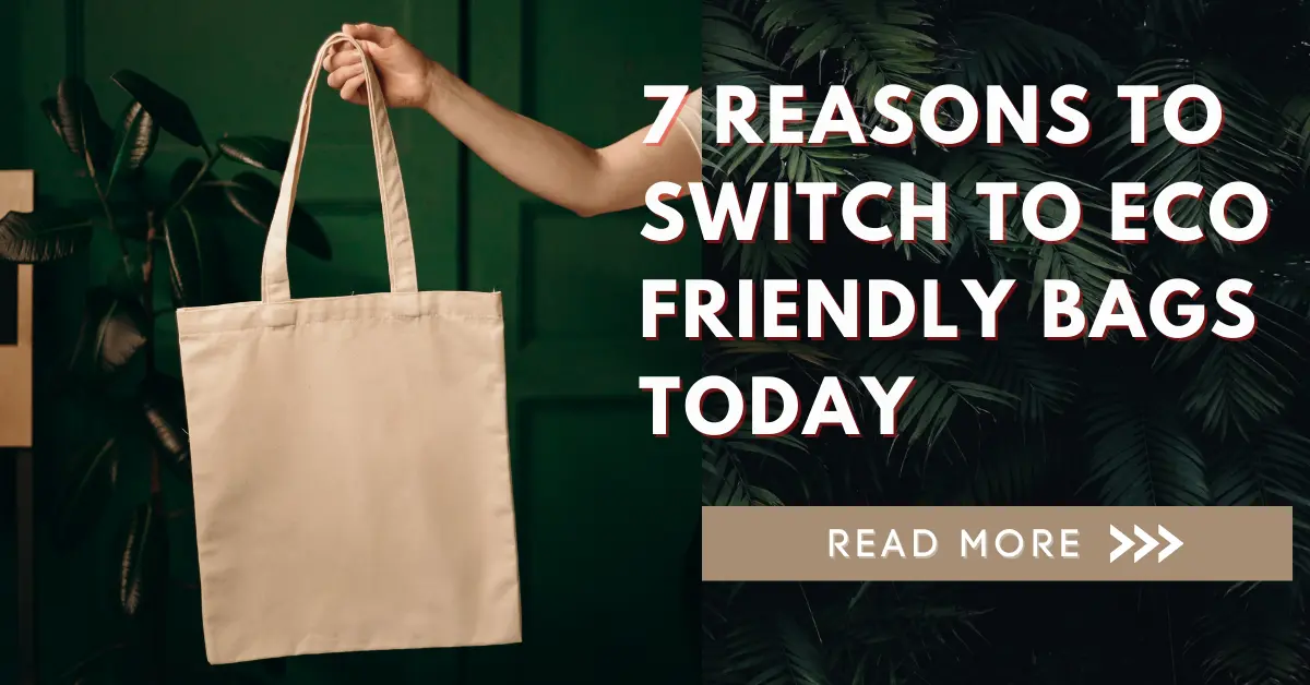 Adams Carry Bag 7 Reasons to Switch To Eco-Friendly Bags