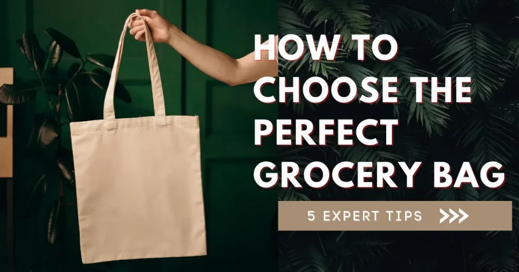 Choosing Perfect Grocery Bag