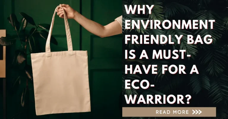 Why environment friendly bag is a must-have for a eco-warrior?