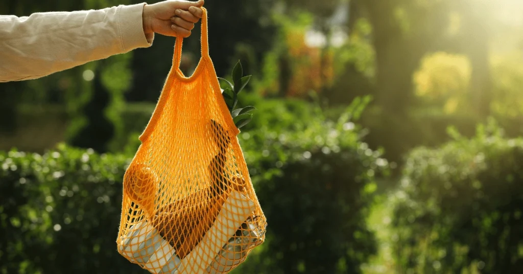 eco friendly reusable produce bags